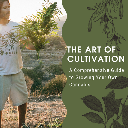The Art of Cultivation: A Comprehensive Guide to Growing Your Own Cannabis